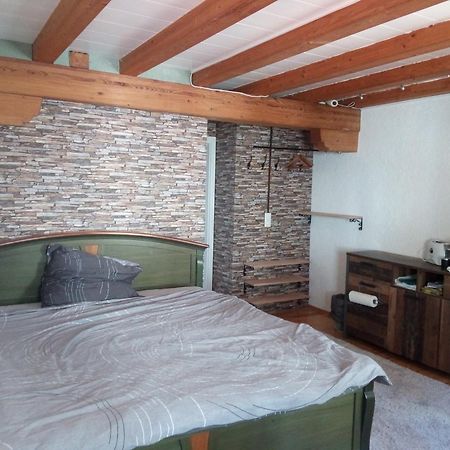 See- Und Altstadthaeusle - Alles Direkt Vor Der Haustuer - Bodenseeufer Natur Altstadt Bahnhof Bora-Sauna - Klein Und Super Zentral Zum See Oepnv Stadt Natur Etc - Appartement Historica Радольфцелль  Экстерьер фото