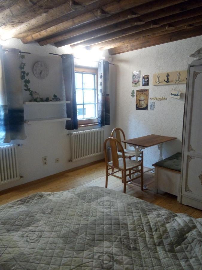 See- Und Altstadthaeusle - Alles Direkt Vor Der Haustuer - Bodenseeufer Natur Altstadt Bahnhof Bora-Sauna - Klein Und Super Zentral Zum See Oepnv Stadt Natur Etc - Appartement Historica Радольфцелль  Экстерьер фото