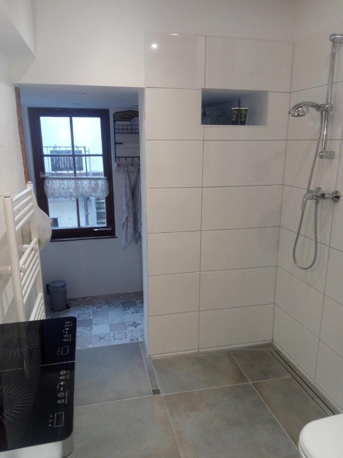 See- Und Altstadthaeusle - Alles Direkt Vor Der Haustuer - Bodenseeufer Natur Altstadt Bahnhof Bora-Sauna - Klein Und Super Zentral Zum See Oepnv Stadt Natur Etc - Appartement Historica Радольфцелль  Экстерьер фото