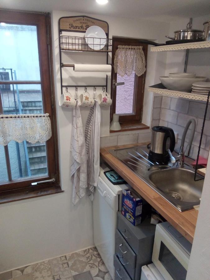 See- Und Altstadthaeusle - Alles Direkt Vor Der Haustuer - Bodenseeufer Natur Altstadt Bahnhof Bora-Sauna - Klein Und Super Zentral Zum See Oepnv Stadt Natur Etc - Appartement Historica Радольфцелль  Экстерьер фото