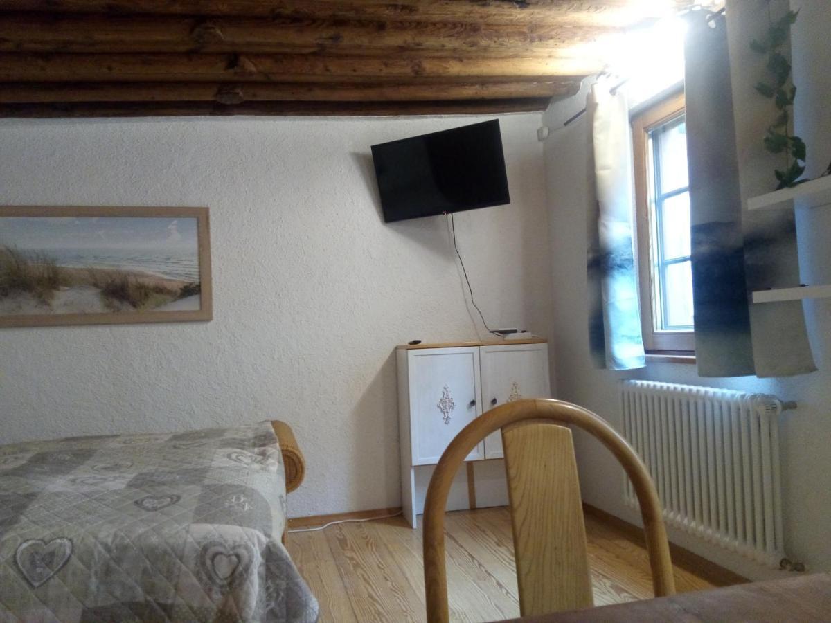 See- Und Altstadthaeusle - Alles Direkt Vor Der Haustuer - Bodenseeufer Natur Altstadt Bahnhof Bora-Sauna - Klein Und Super Zentral Zum See Oepnv Stadt Natur Etc - Appartement Historica Радольфцелль  Экстерьер фото
